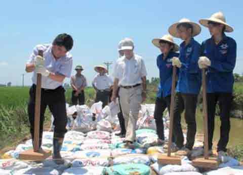 Túi đất làm đường nông thôn